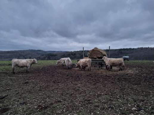 Een foto toegevoegd aan een locatie