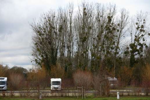 Aggiunta una foto a una posizione