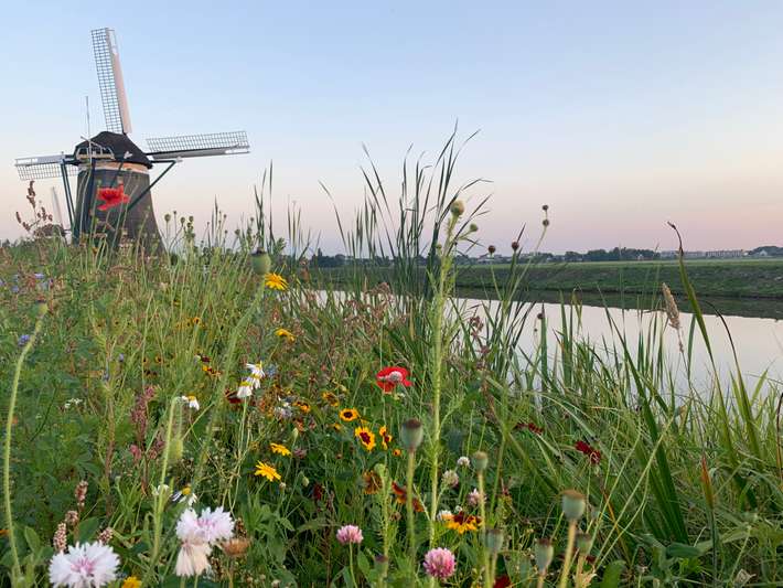Campererf Buitenplaats Molenwei