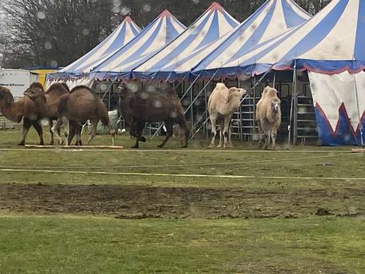 Een foto toegevoegd aan een locatie