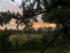 Camping Lisi Grün