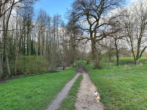 Added a photo to a location