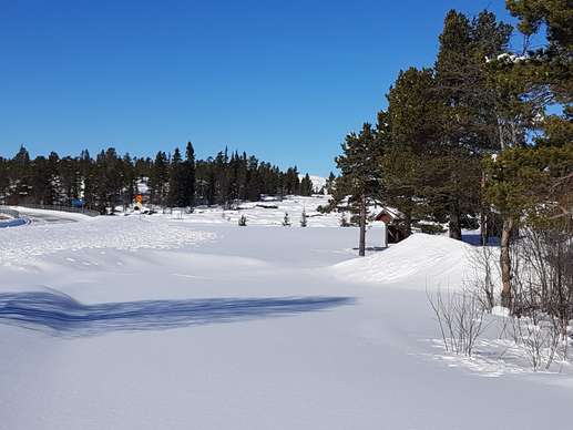 Added a photo to a location