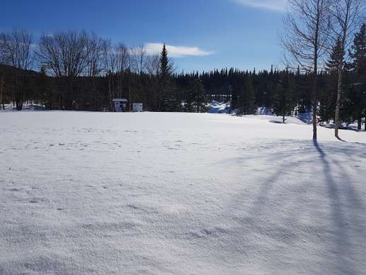 Added a photo to a location