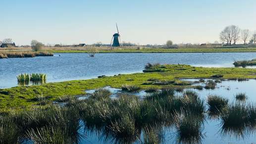 Een foto toegevoegd aan een locatie