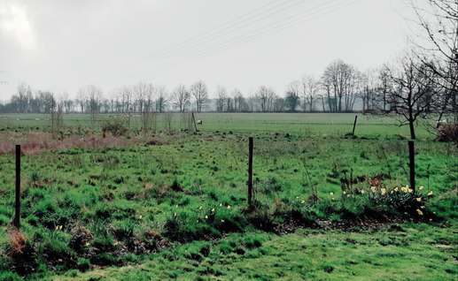Een foto toegevoegd aan een locatie