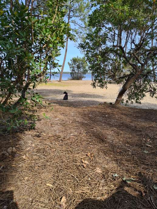 Added a photo to a location