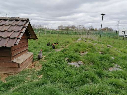Een foto toegevoegd aan een locatie