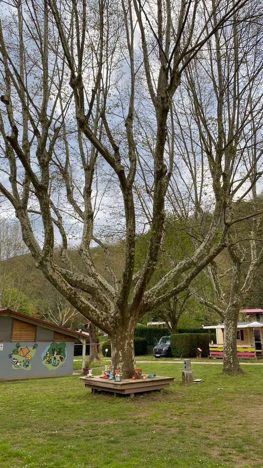 Aggiunta una foto a una posizione