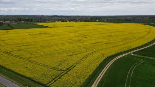 Een foto toegevoegd aan een locatie