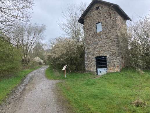 Een foto toegevoegd aan een locatie