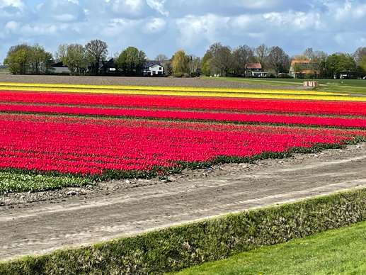 Een foto toegevoegd aan een locatie
