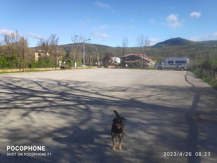 Area Comunale