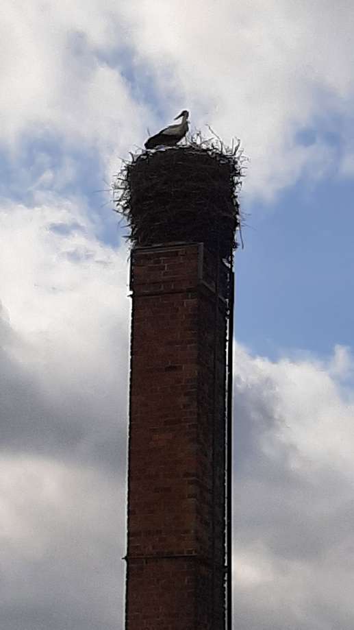 Einem Ort wurde ein Foto hinzugefügt