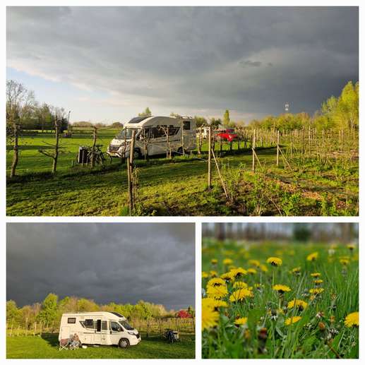 Een foto toegevoegd aan een locatie