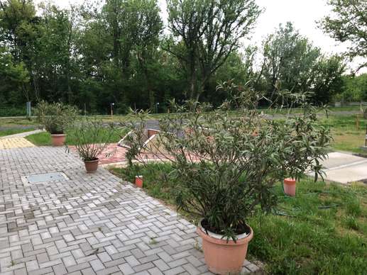 Added a photo to a location