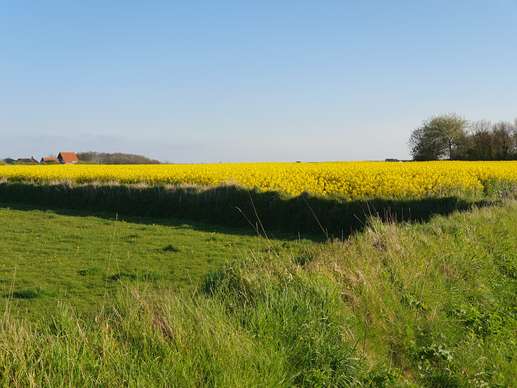Added a photo to a location