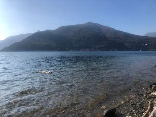 Añadió una foto a una ubicación