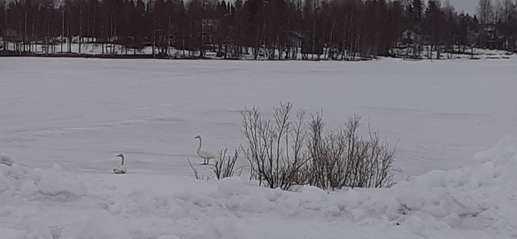 Added a photo to a location