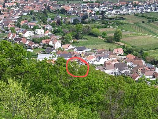 Een foto toegevoegd aan een locatie