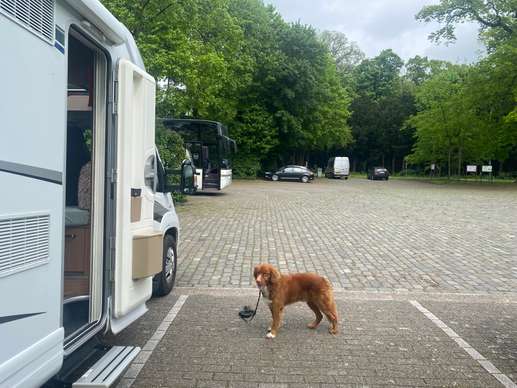 Een foto toegevoegd aan een locatie