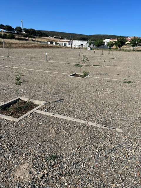 Aggiunta una foto a una posizione