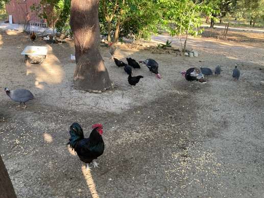 Aggiunta una foto a una posizione