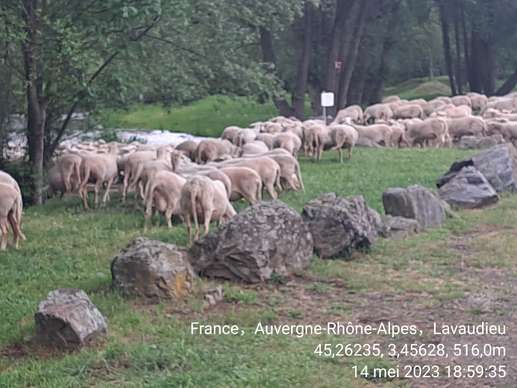 Ajout d'une photo à un emplacement
