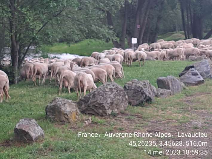 Camping la Vialette