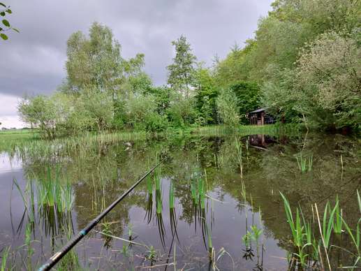 Een foto toegevoegd aan een locatie