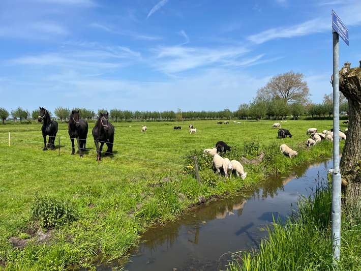 Campererf De Groene Waard