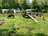 Camping Langs De Dedemsvaart