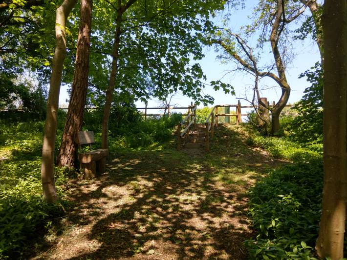 Woodside Field 