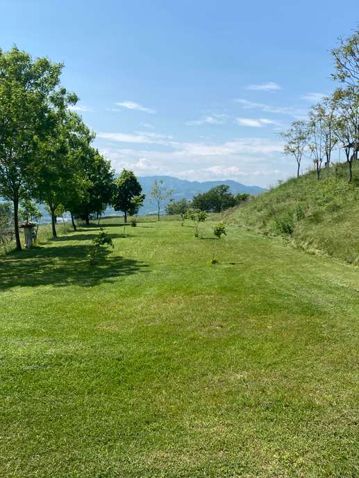 Aggiunta una foto a una posizione