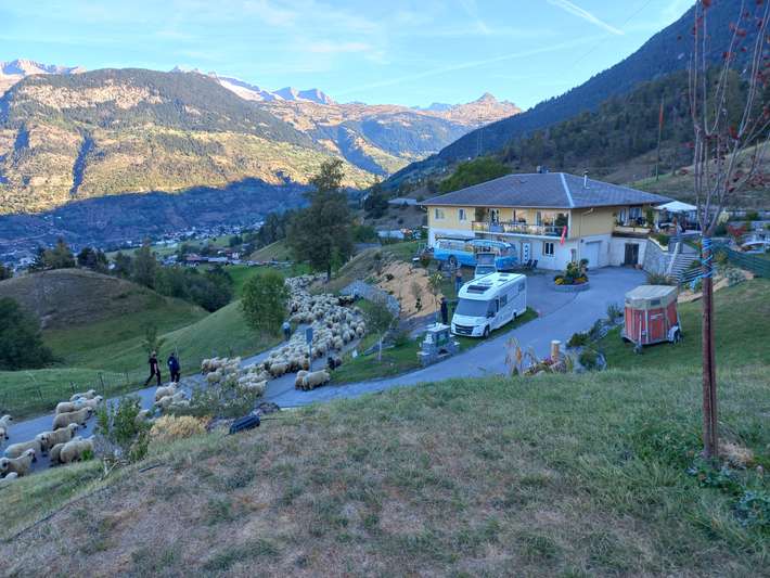 Panorama Stellplatz + Camping Basweri