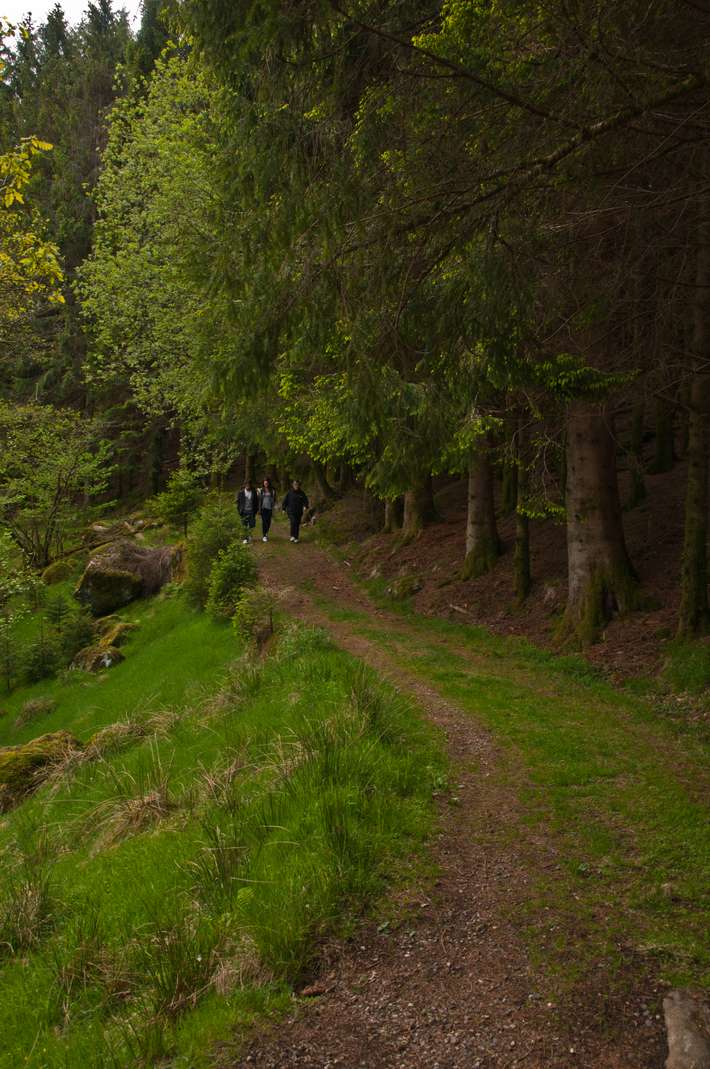 Bakkaåno Camping og Gjestegard