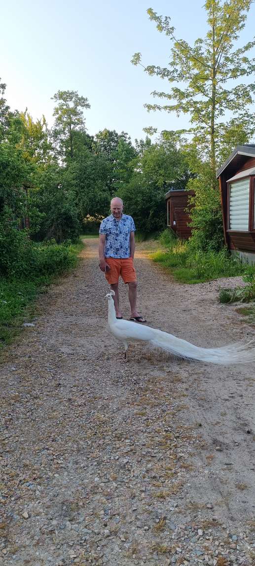 Een foto toegevoegd aan een locatie