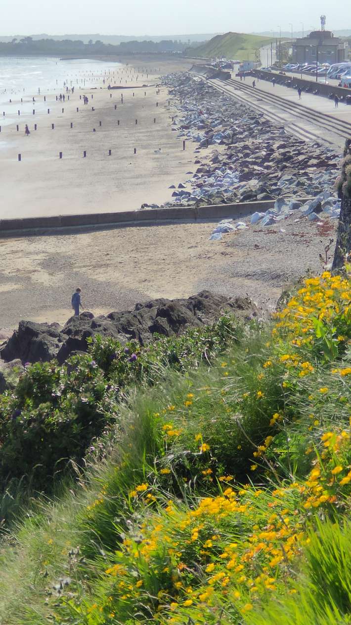 Parking Youghal bay