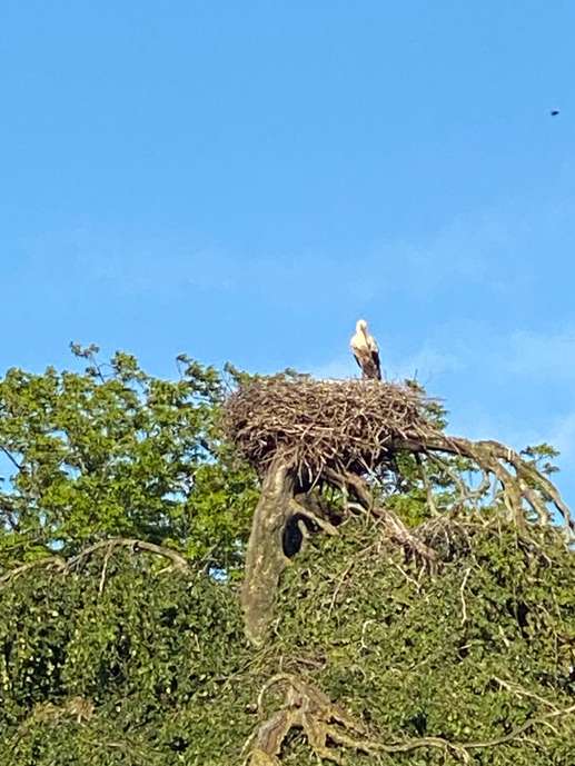 Aggiunta una foto a una posizione