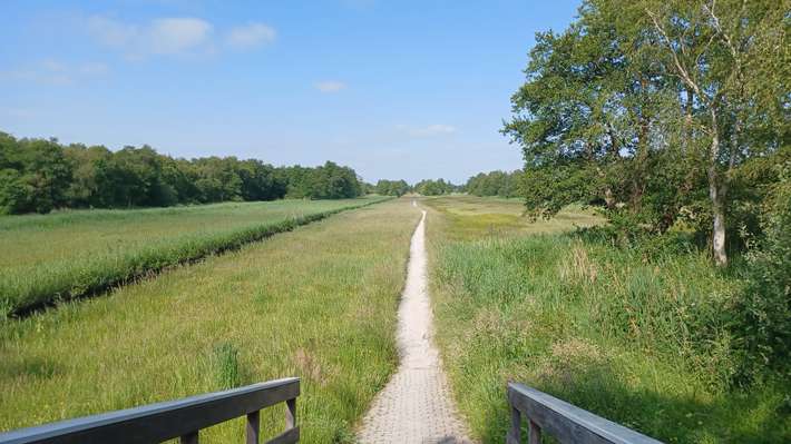 Camping Dwarsgracht