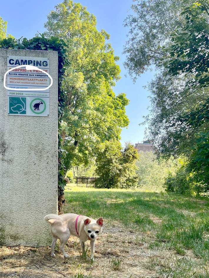 Camping de L'ile Cherlieu