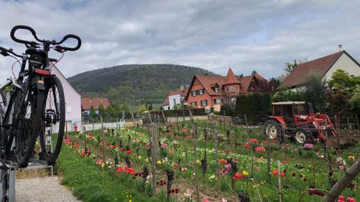 Einem Ort wurde ein Foto hinzugefügt
