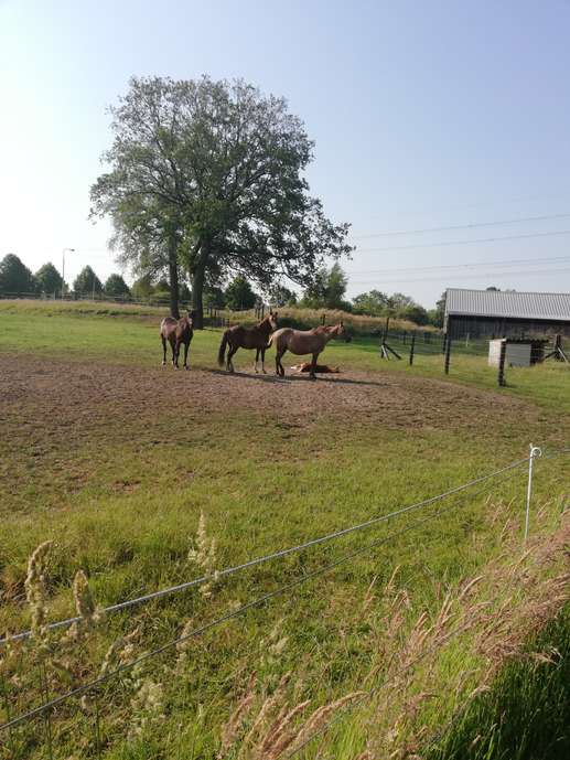 Added a photo to a location