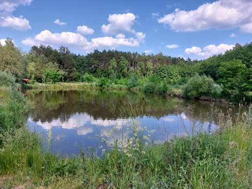 Een foto toegevoegd aan een locatie