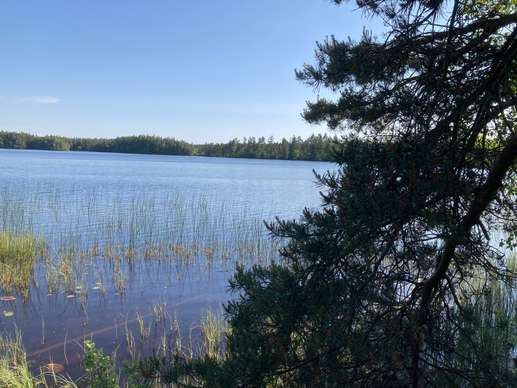 Added a photo to a location