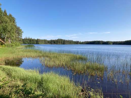 Added a photo to a location