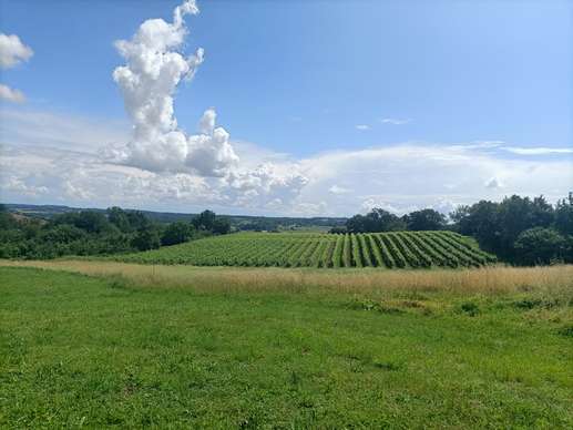 Added a photo to a location