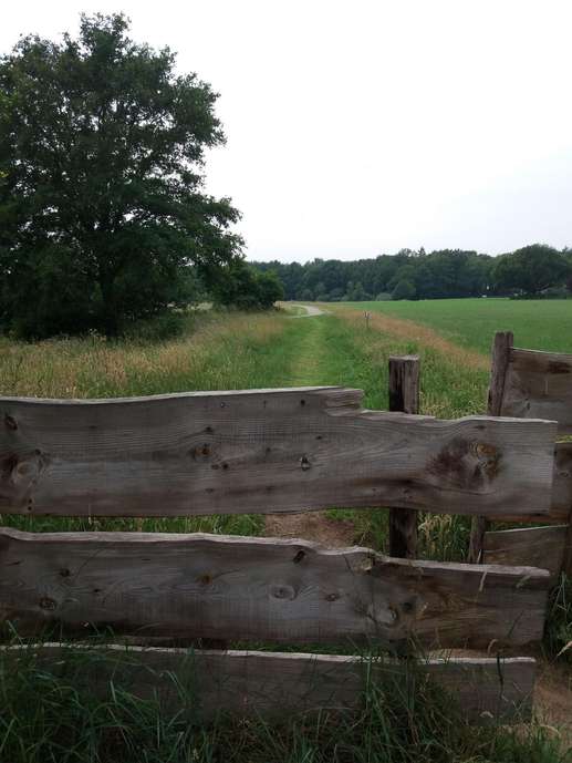 Een foto toegevoegd aan een locatie