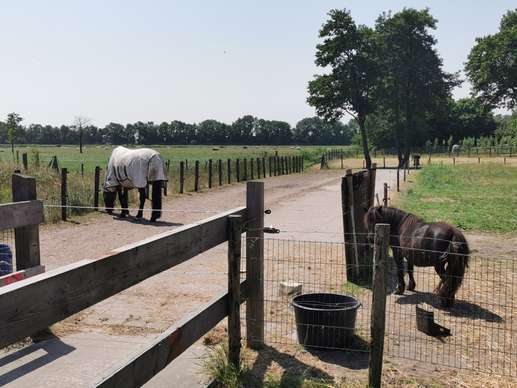 Een foto toegevoegd aan een locatie