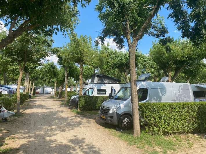 Camping Don Quijote